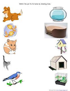 Preschool Is Fun Planning Activities: Pets Home Match
