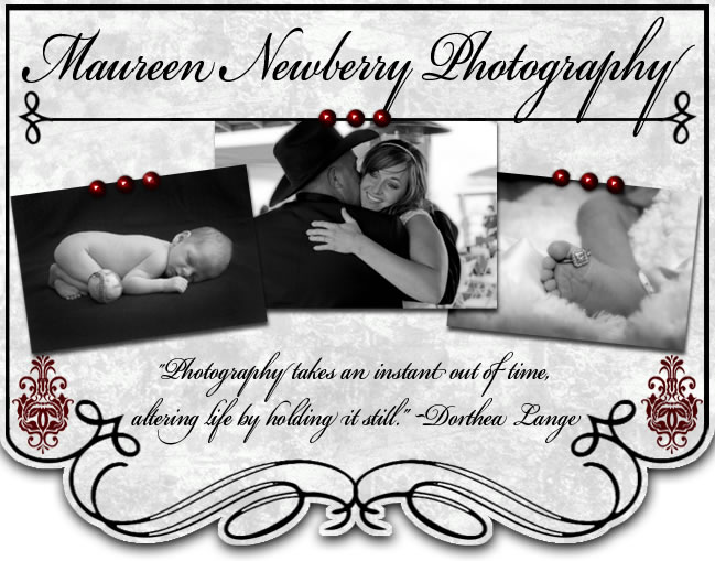 Maureen Newberry Photography