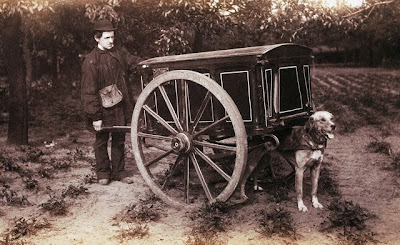 Terrierman's Daily Dose: Dog Carts and the Extinction of Memory