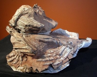 Fósiles raros de nuevas especies de dinosaurios encontrados en EE.UU.