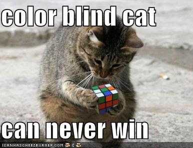 [Image: funny-pictures-color-blind-cat-rubiks-cube.jpg]