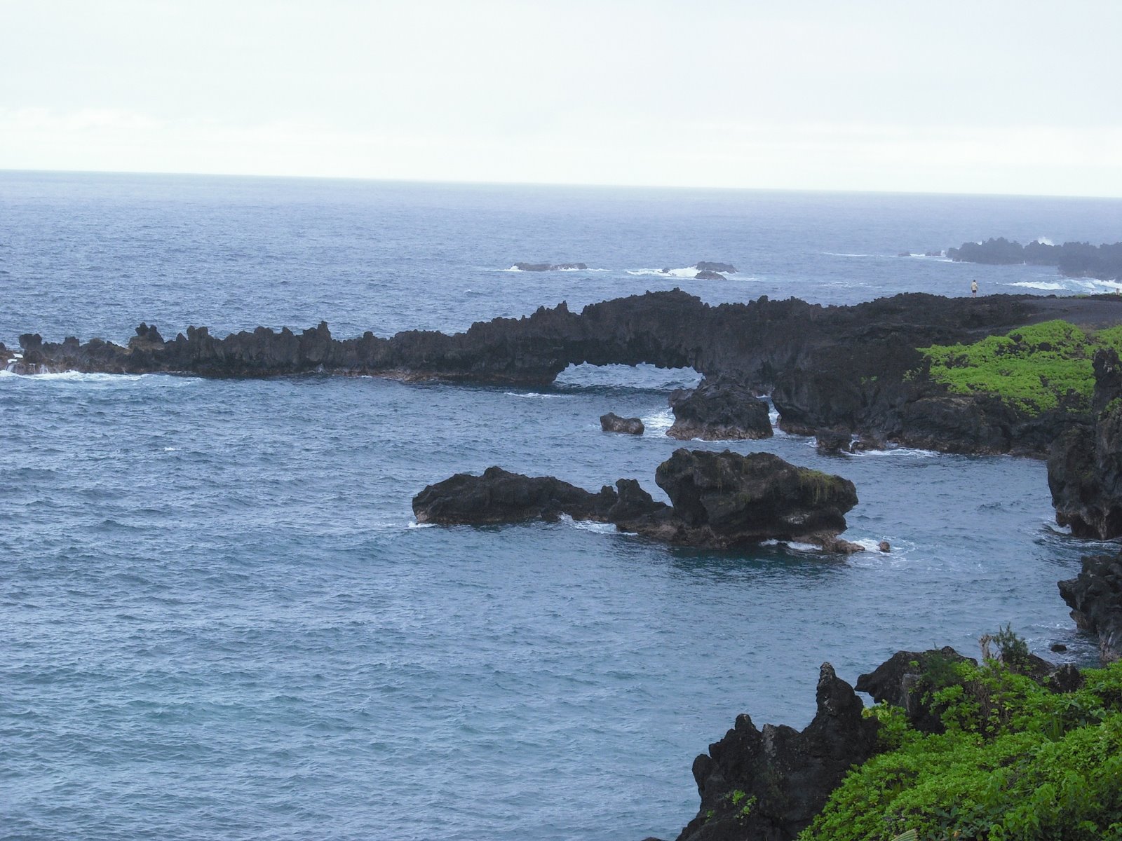 [Hawaii+2008+161.JPG]