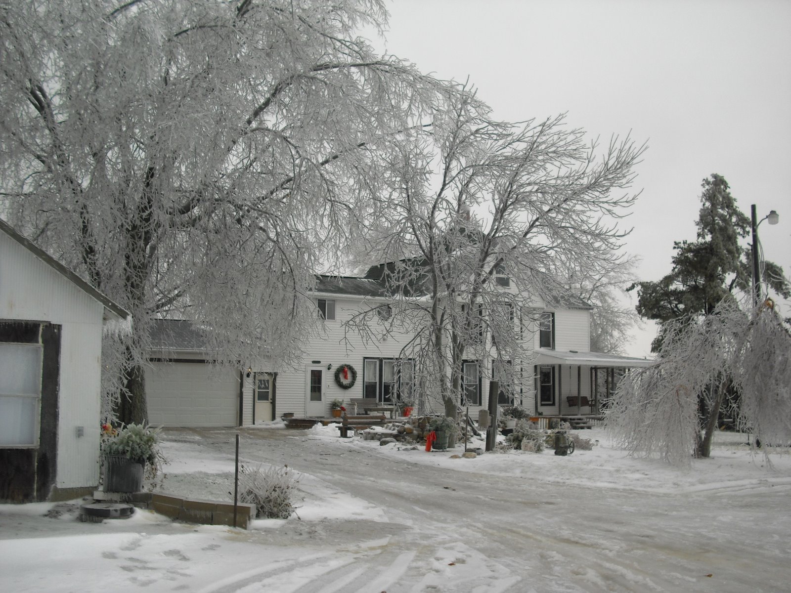 [Winter+2008+001.JPG]