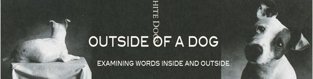 Outside of a Dog