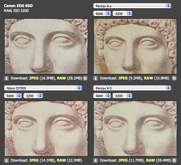 Fotografie Wildlifephotography Pentax K5 vs. Canon EOS 60D vs