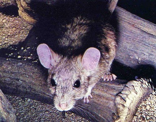 [3749458098_ee841bd089.jpg]