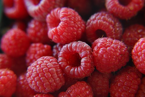 [fresh+raspberries.jpg]
