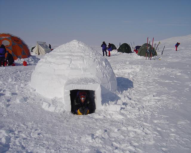 [how-to-build-an-igloo.jpg]
