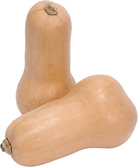 [butternutsquash.jpg]