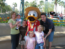 Disneyland 2008
