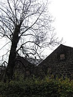 black trees and warehouse at glen grant