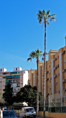 Alacantí de profit: LOS OTROS MONUMENTOS