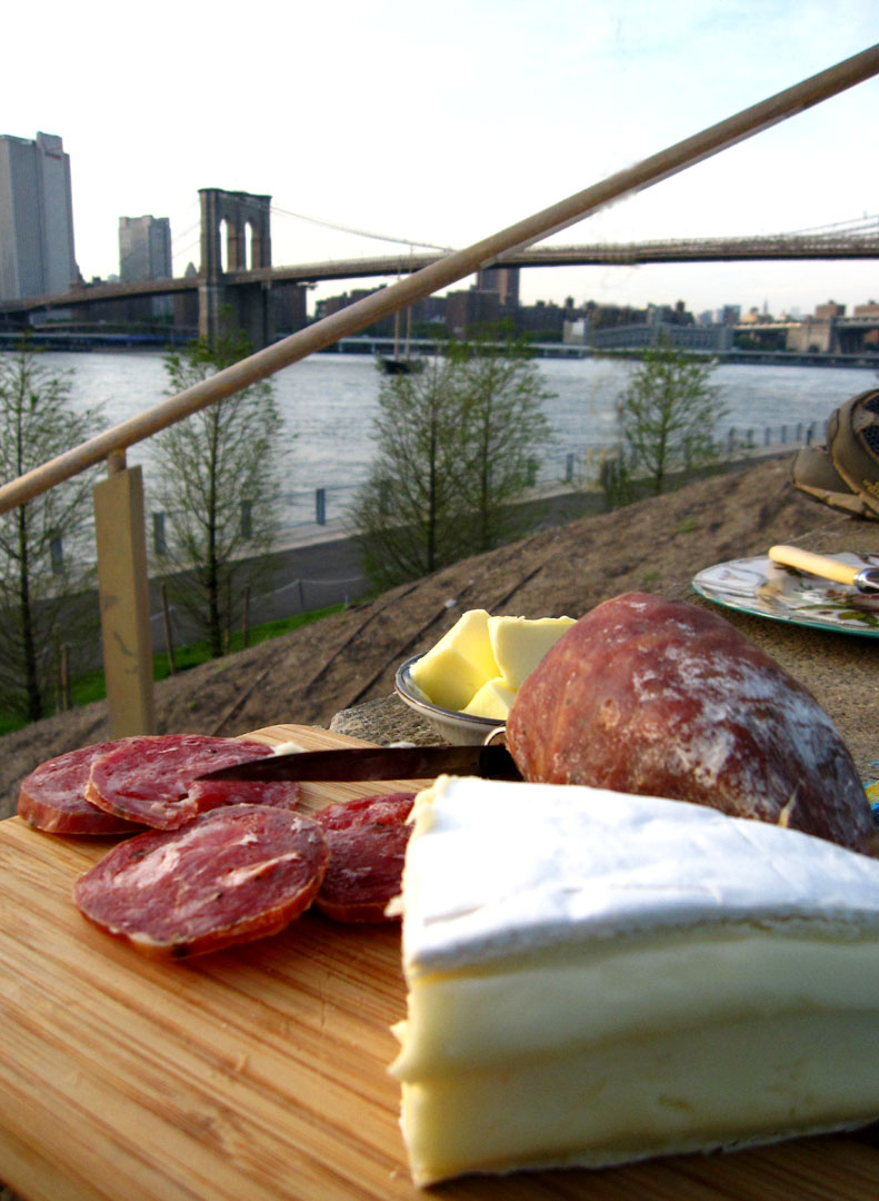 66 Square Feet (Plus) Brooklyn Bridge Park picnic