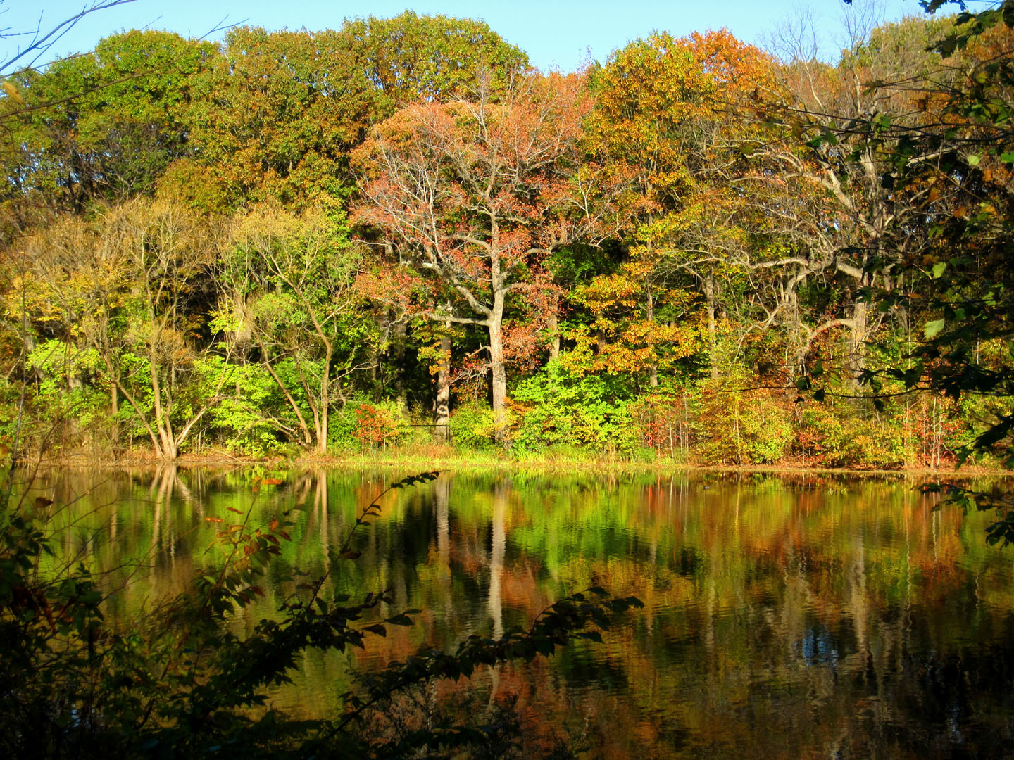 Enjoy the beautiful sights at Prospect Park, New York (PHOTOS)  BOOMSbeat