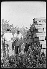 Half Barrel Boxes Stacked