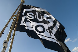 2009 fury sound mark