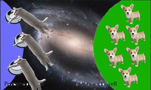 [withpsilocin.jpg]
