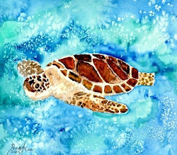 turtle sea painting watercolor paintings ocean beach marine turtles water prints oil artwork paint colour acrylic artists tropical drawing derek
