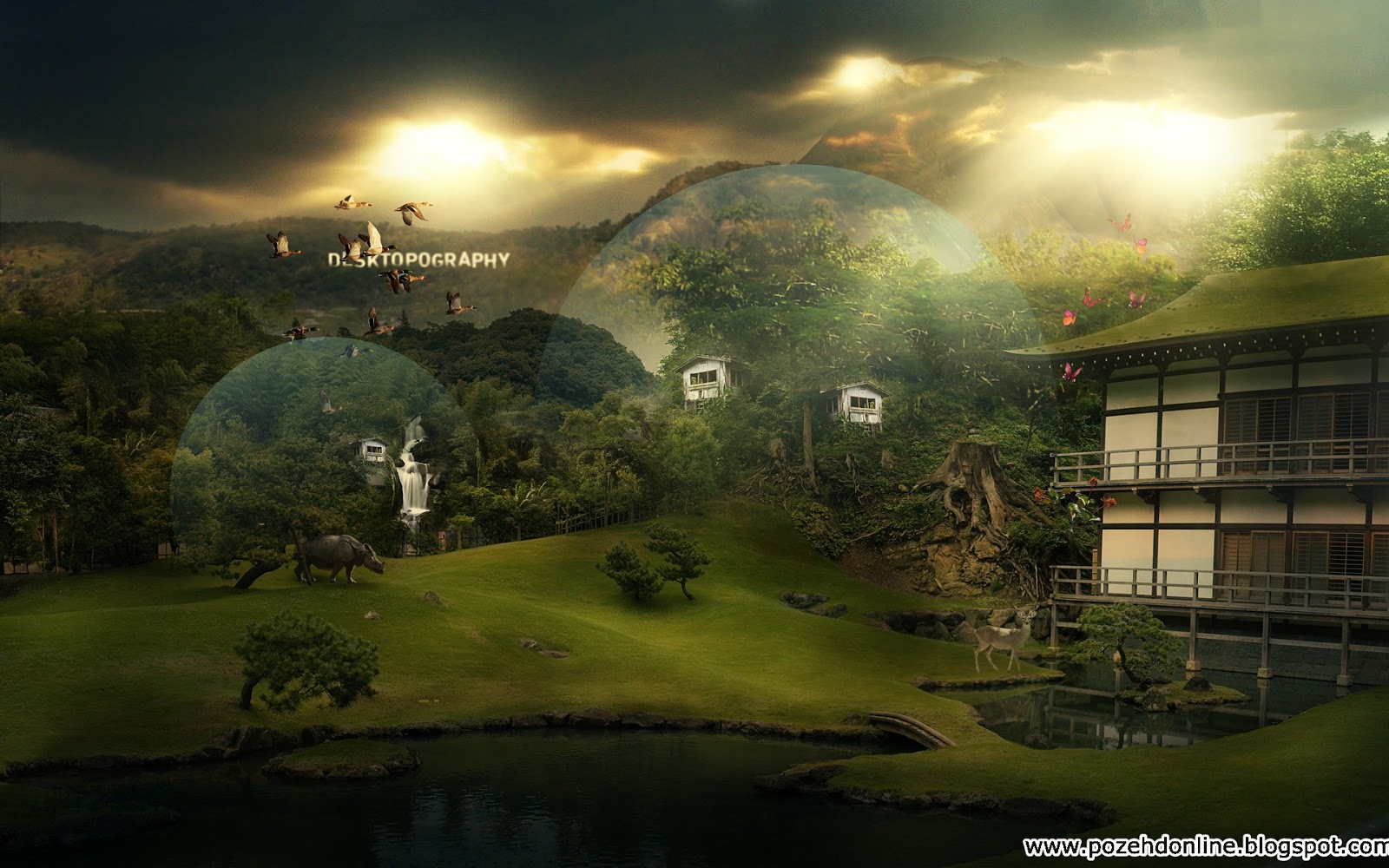 Poze HD Online: Poze HD Natura