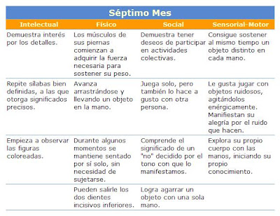 horario comidas bebé 7 meses horario comidas bebé 7 meses