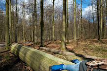 But I'm a sloth, really.