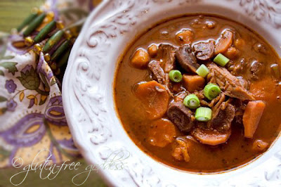 Gluten free buffalo stew with cranberries