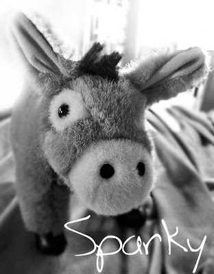 My burro Sparky