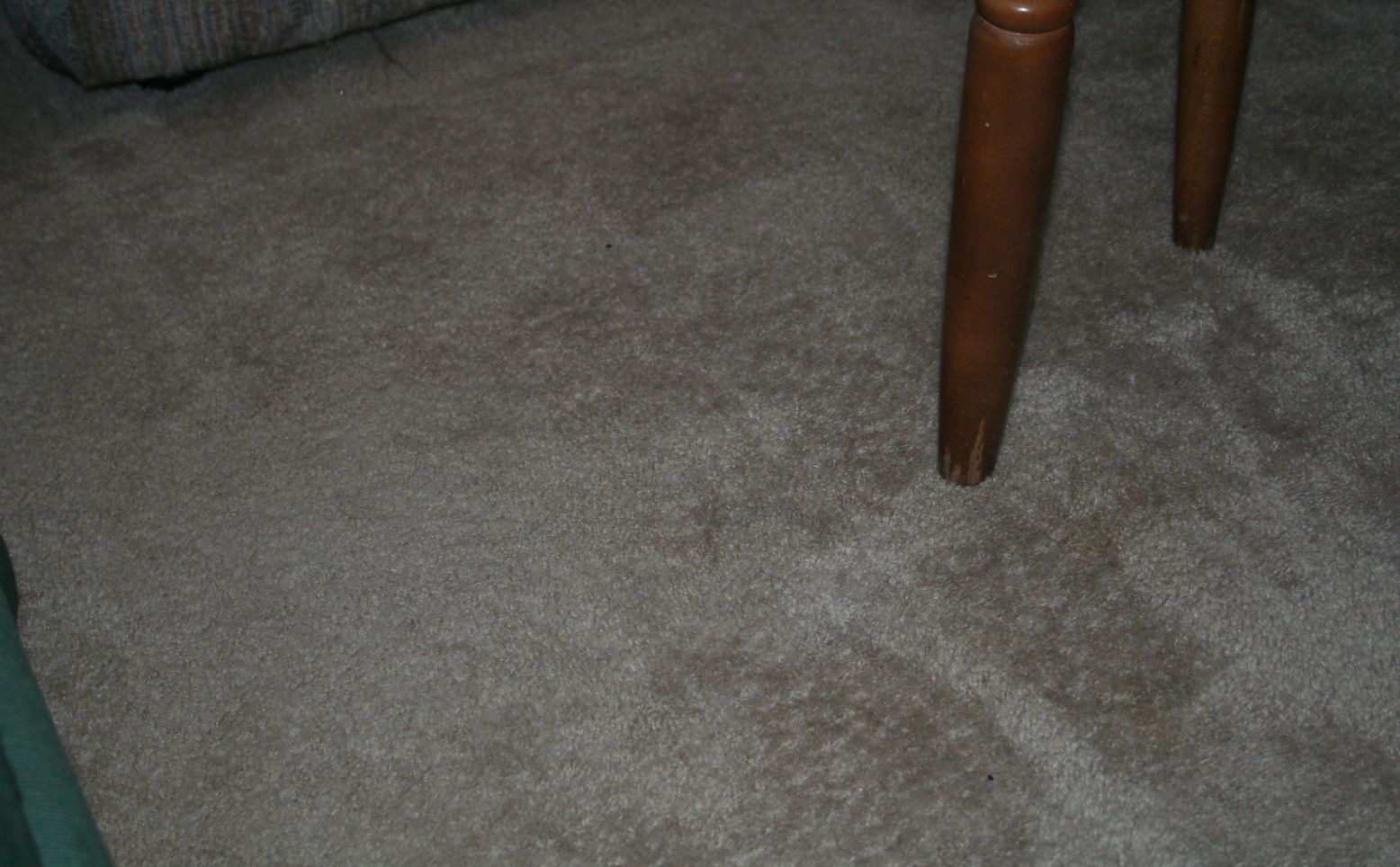 [LR+carpet,+after.jpg]