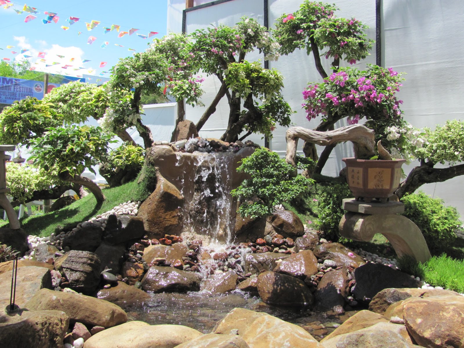 Davao Agro Trade Fair 2010 Bonsai Plants Davao Delights