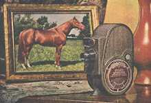 Whirlaway