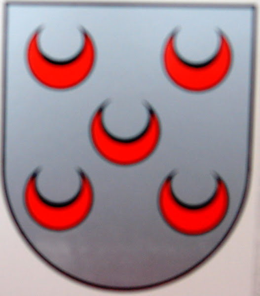 Escudo de armas da família Pinto