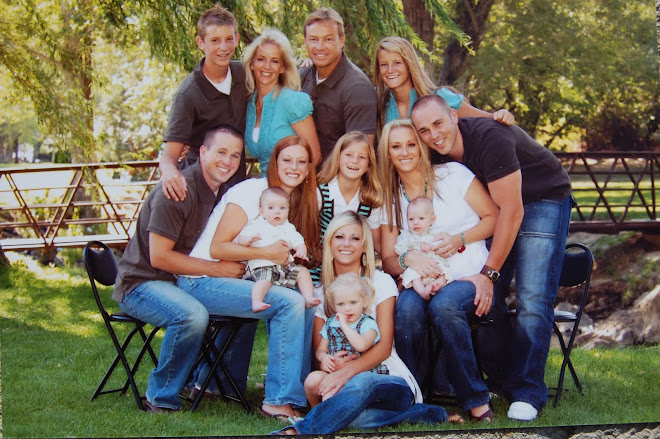 DeVisser Family Blog