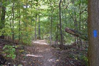 blue trail in the woods, Crescent Trail, Town of Perinton NY