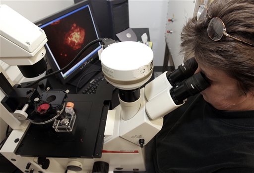 [celulas+estaminais.jpg]