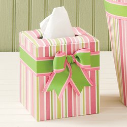 [Pink+Stripe+Classic+Tissue+Cover.jpg]