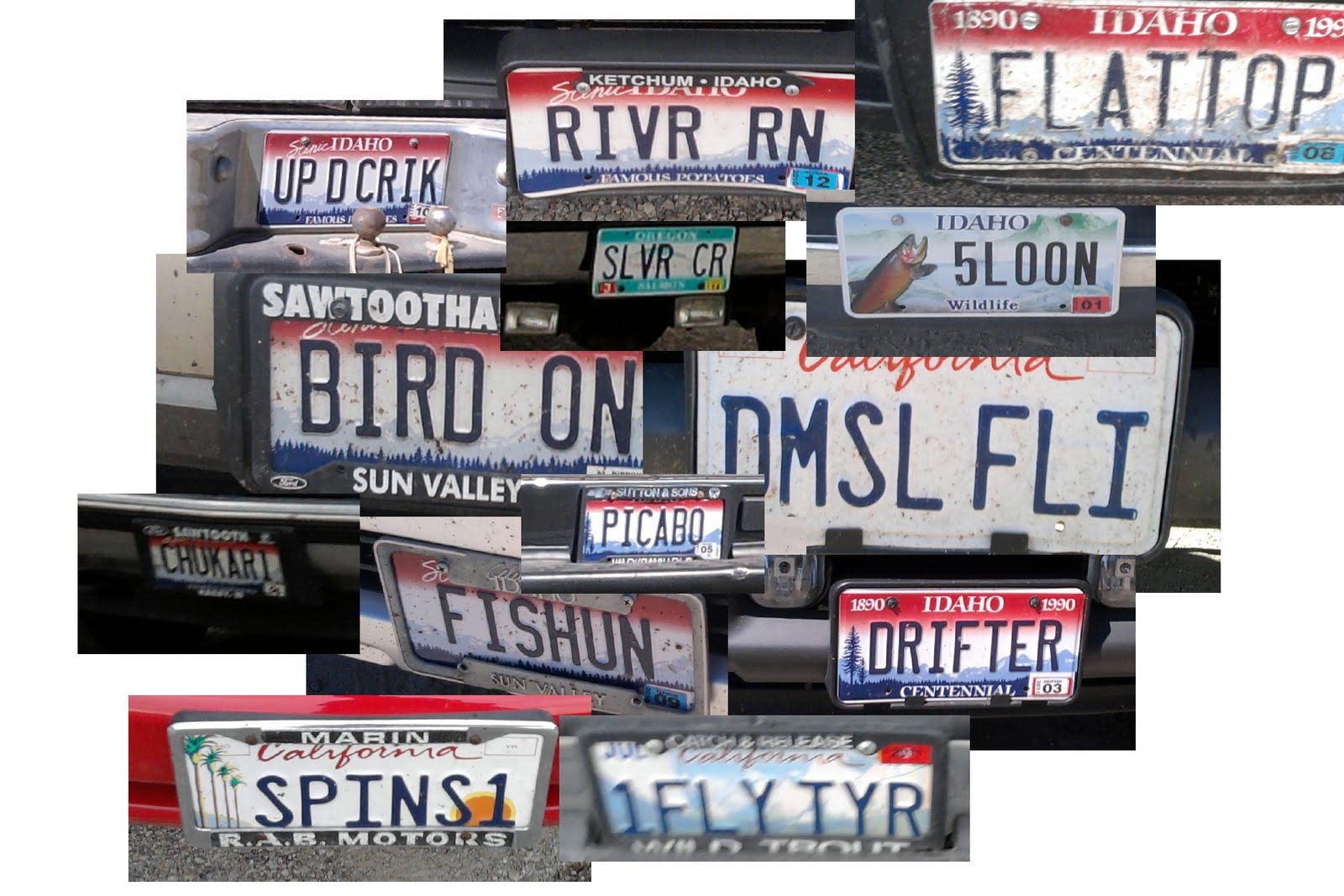 Idaho Nature Notes Silver Creek License Plates