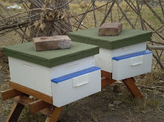 Colmenas en el apiario experimental del Centro Apícola "El Chinital" probando esta nueva tecnología