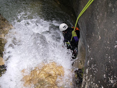 FÓRUM-TABLÓN ANUNCIOS
