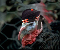 Scottish turkey