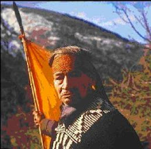 Territorio Mapuche
