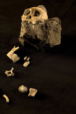 restaurant dating site