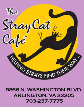 [stray+cat+cafe+copy.gif]