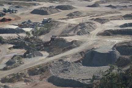 Ella Bay Forever: Rare Golden sleepy cod threatened by TERM sand mining ...