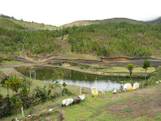 Estación piscícola de Cascapampa Huancabamba