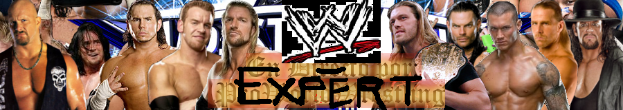 wrestling expert wwe