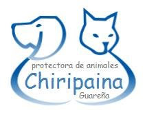 Chiripaina
