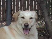 Nala