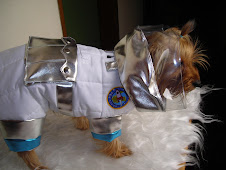 astronauta canino