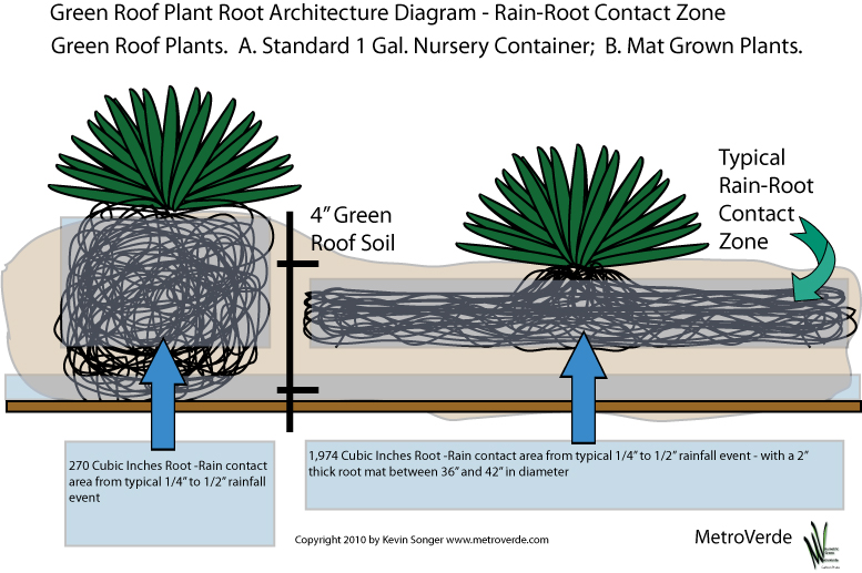 Kevin Songer, Art and Languages of Nature Plants for Florida Green
