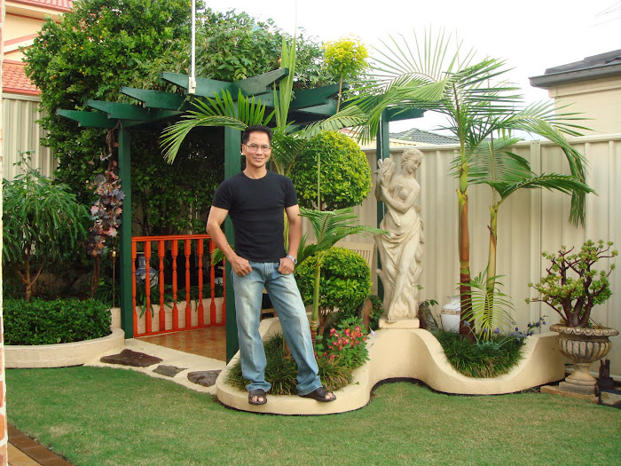 My green corner